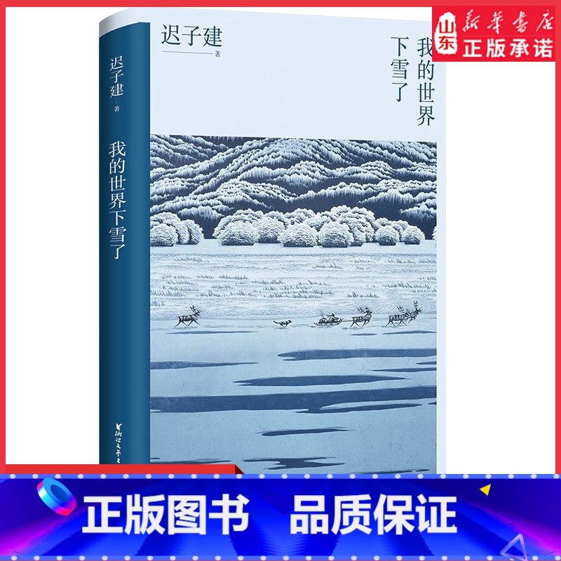 [正版]我的世界下雪了迟子建著以文字抚平创痛以真情感怀人间中国现当代散文集文学作品9787533966720 书店书籍