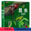 [正版]揭秘昆虫立体翻翻书 儿童故事书0-3-6岁婴儿启蒙认知学前3d翻翻书籍感官刺激早教触摸书宝宝撕不烂亲子阅读读物