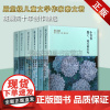 秦文君臻美花香文集(套装六册)青少年成长励志手册教育意义长篇校园小说书 走进儿童心灵的文学奥秘之一 少年儿童出版社