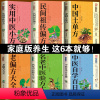 [正版]全6册 中国土单方书+民间祖传偏方+实用中医小方+老偏方大全+名老中医验方大全+中医自学百日通 基础中医诊断中