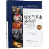 音像膝关节重建外科学(美)戴伦·L.约翰逊(Darren L. Johnson)主编