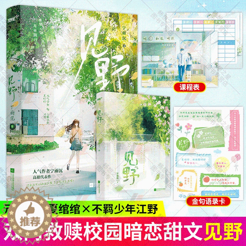 【醉染正版】见野上册 高人气作者宁雨沉破圈高甜青春校园代表作 他的小撩精甜爆啦风炫夏绾绾江野 青春都市校园言情小说书籍完