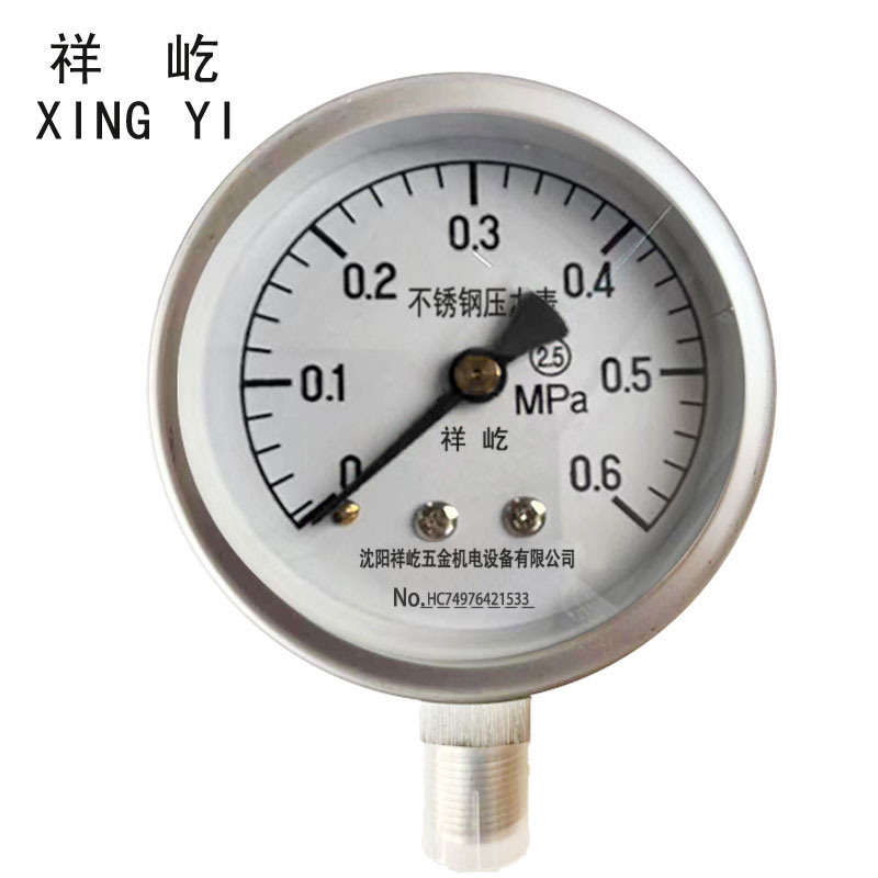 祥屹+不锈钢压力表检测定制型+Y60BF +块 0-0.6Mpa