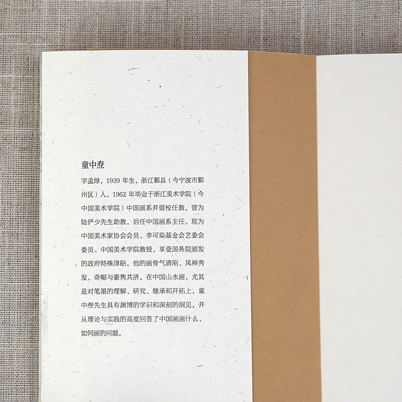 [正版]湖山艺丛:中国画与中国文化 童中焘先生谈论中国画与中国文化关系的专集 中国画笔墨入门的重要参考艺术书法绘画理论高清大图
