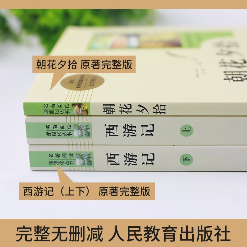 [九年级下册]契科夫短篇小说 [正版]人教版初中名著阅读 儒林外史简爱骆驼祥子海底两万里朝花夕拾西游记艾青诗选水浒传初中