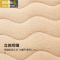 羊羔绒床垫冬季软垫加厚保暖榻榻米垫子厚1.5m学生宿舍单人床褥子 三维工匠