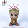 封后空气凤梨懒人无土植物多肉花卉树人格鲁特盆栽Groot花盆绿植花卉 格鲁特童趣鸟窝+贝可利花期 含盆
