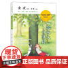 一起长大的玩具(修订版·小学快乐读书吧) 长江文艺出版社
