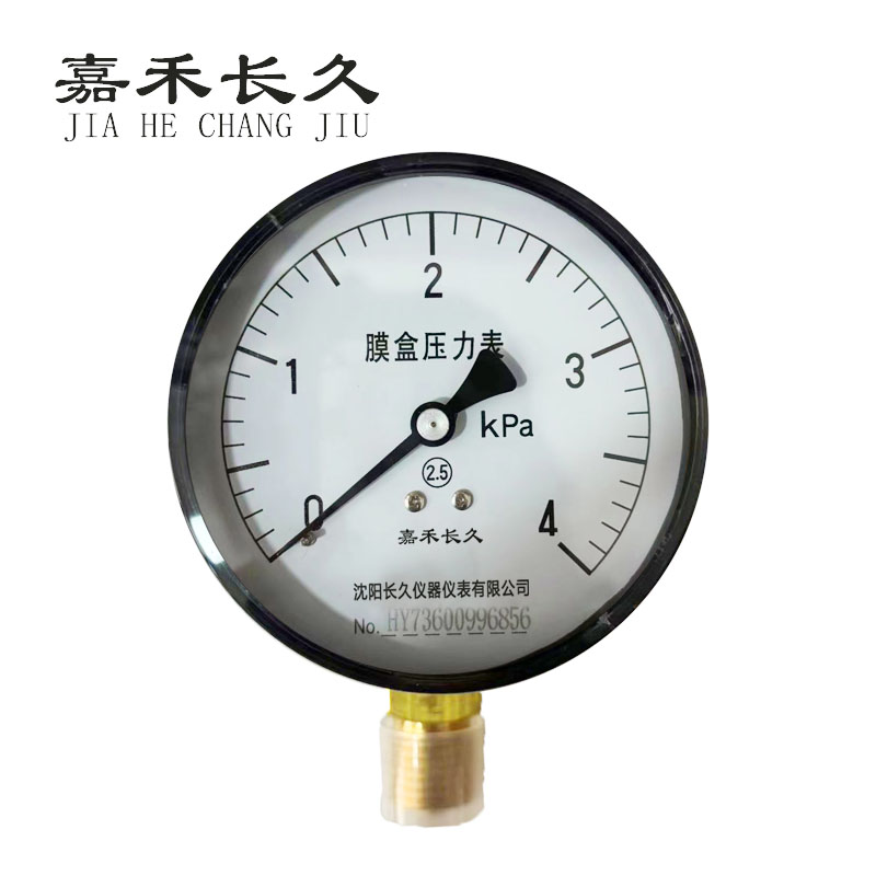嘉禾长久+膜盒压力表检测定制型+YE60+块 0-4Kp