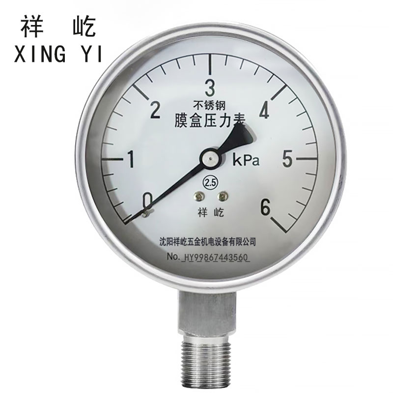 祥屹 不锈钢膜盒压力表检测定制型 YE100BF 块 0-6Kpa