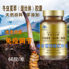 正品冬虫夏草菌丝体胶囊西藏虫草术后恢复中老年滋补品 60粒