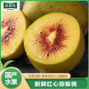 [苏鲜生]四川红心猕猴精品果30枚装(单果50-70g小果) 猕猴桃奇异果