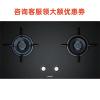 西门子 ER8SR231MP 嵌入式大火力燃气灶天然气台式双灶