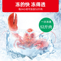 星星(XINGX) BD/BC-519E 519升冰柜 冷柜 卧式大容量商厨商用保鲜设备 深冷速冻 电脑温控