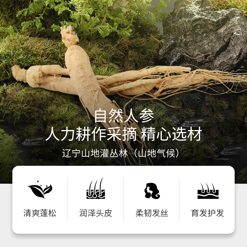 bodyaid博滴苗坚防脱育发洗发水发丝固发去屑止痒蓬松300ml