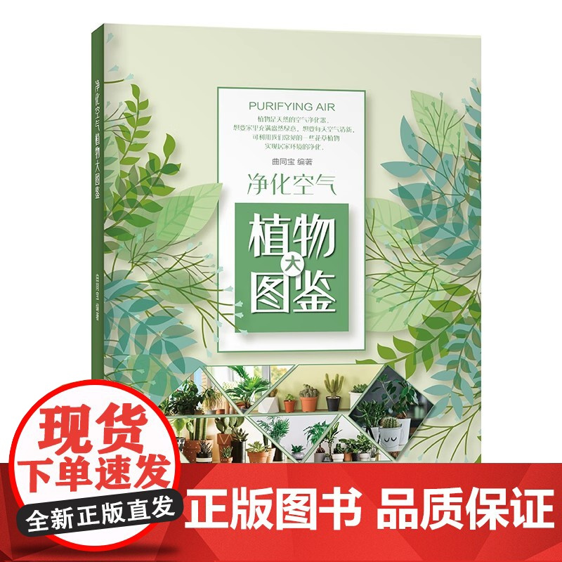 书]净化空气植物大图鉴 有效净化空气花草集 了解监测空气污染的植物类别 花草识别手册书籍 益于空气质量常见植物解析