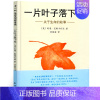 一片叶子落下来 绘本 [正版]你看起来好像很好吃精装宫西达也文图杨文译蒲蒲兰绘本馆系列宫西达也恐龙系列 一二年级课外书阅