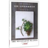 给次养多肉植物的你