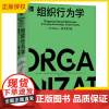 2025新书 组织行为学 原书第9版 精装版 史蒂文 麦克沙恩 组织行为学 管理 商业管理 组织效能 企业经营管理学书籍