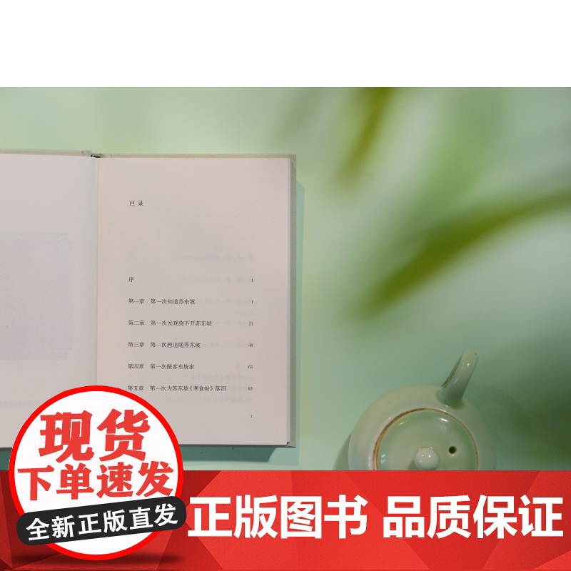第一次遇见苏东坡 第一次遇见系列丛书衣若芬著上海人民出版社中国文化古典文学高清大图