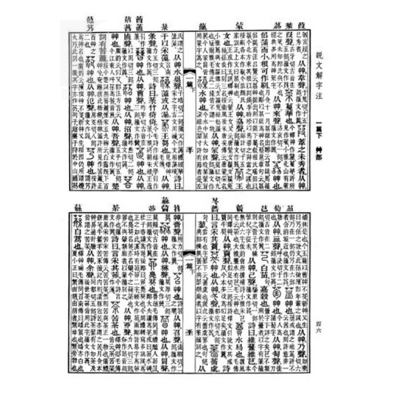 [正版]说文解字注 中国文化语言工具书分析研究 字体解析 (清)段玉裁 著 许慎撰 工具书 语言文字 图书籍 上海古籍高清大图