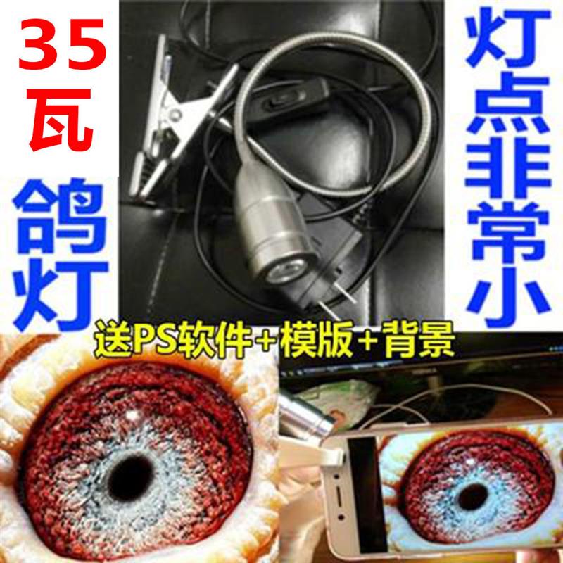 鸽眼放大镜信鸽用品具高清手机拍鸽眼微距镜鸽子眼拍照