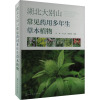 湖北大别山常见药用多年生草本植物