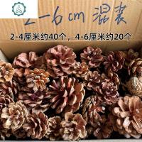 松果天然干花树枝装饰手工制作zakka幼儿园diy红果松针圣诞节材料 封后 带叶红浆果/3个 干花包