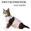 猫咪衣服母猫绝育衣服手术服断奶服柔软薄款四脚衣服猫咪防舔防咬 粉兔兔 S-4斤左右