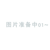 VETERGARD 耐候性结构胶 XJ-936 310ml 单位:支