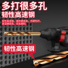 德力西(DELIXI)高硬度麻花钻头不锈钢合金钢铁韧性高速钢打孔DLX-042T[25件套]