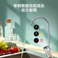 史密斯佳尼特 反渗透净水器家用厨下 直饮水机净水机直饮机过滤器净饮一体机 专利3年RO膜 母婴纯享1500P