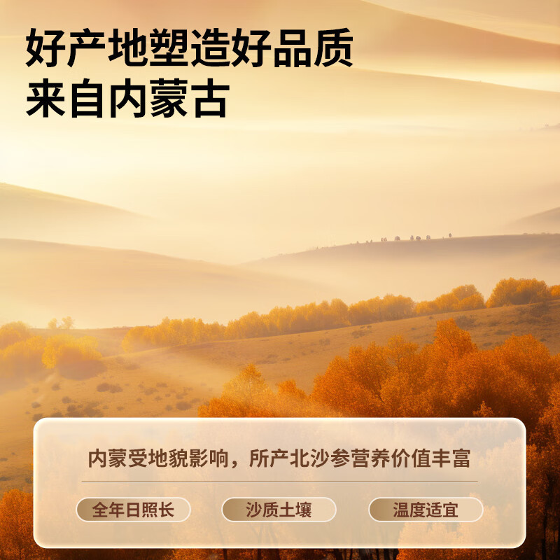 北京同仁堂 青源堂 内蒙北沙参无硫沙参 200g 煲汤材料