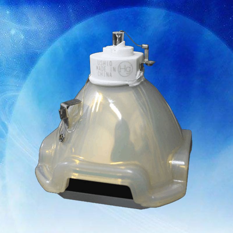 成越全新爱其EIKI LC-XG250原装投影机灯泡投影仪灯泡_vWd04