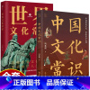 中国文化常识 [正版]全2册 中国文化常识+世界文化常识 中华文明演进过程年轻人要熟知的历史国学常识中国传统文化精华中外