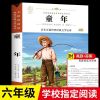 童年 童年高尔基正版小英雄雨来六年级必读爱的教育小学生课外阅读书籍