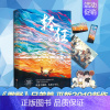 [正版]随机签名 轻狂巫哲小说实体书 撒野同系列 书中带赠品 晋江金榜作家巫哲全新燃情力作 青春都市文学一个钢镚儿伪装