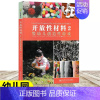 开放性材料2 [正版]开放性材料系列 (1-3册) 幼儿创造性游戏 婴幼儿创造性游戏 创设文化可持续的环境 南京师范大学