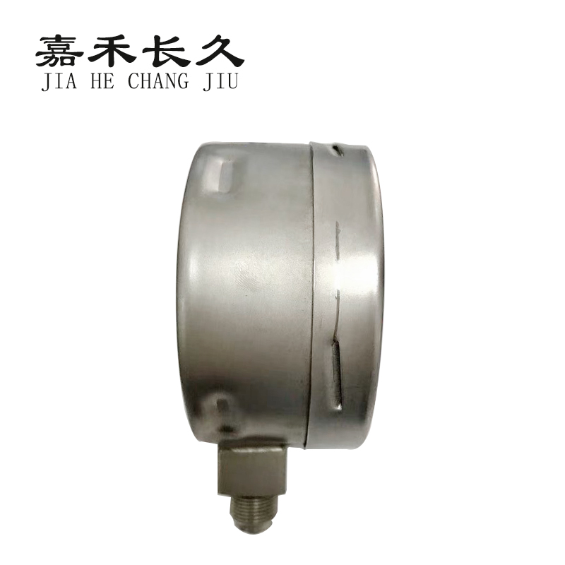 嘉禾长久 不锈钢耐震压力表定制检测型 YN100BF 0-350Mpa 块高清大图