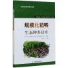 规模化稻鸭生态种养技术 傅志强 编 专业科技 文轩网