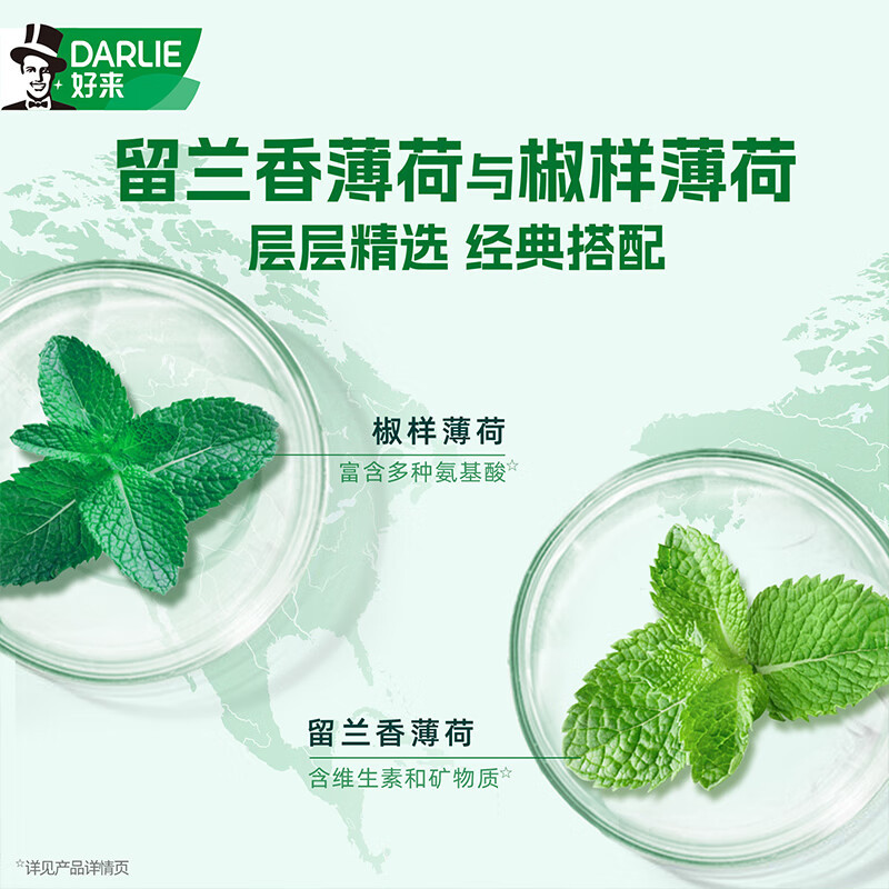 好来 (原黑人)双重薄荷牙音225g清新口气 防蛀固齿(新旧随机)