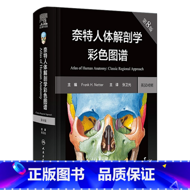 [正版]奈特人体解剖学图谱 第8版彩色神经系统肌肉骨骼生理学基础肌动学尸变图鉴列车格氏结构和功能八版正常2023法医版