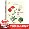 彩图新知04:植物命名的故事 安娜·帕沃德 著 暴永宁