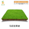 廷豪果 马尼拉草皮 园林绿化草皮 100*100cm /平方米