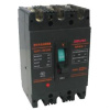 德力西 DELIXI ELECTRIC DZ20Y-225/3300 125A DZ20塑壳断路器(包装数量 1个).