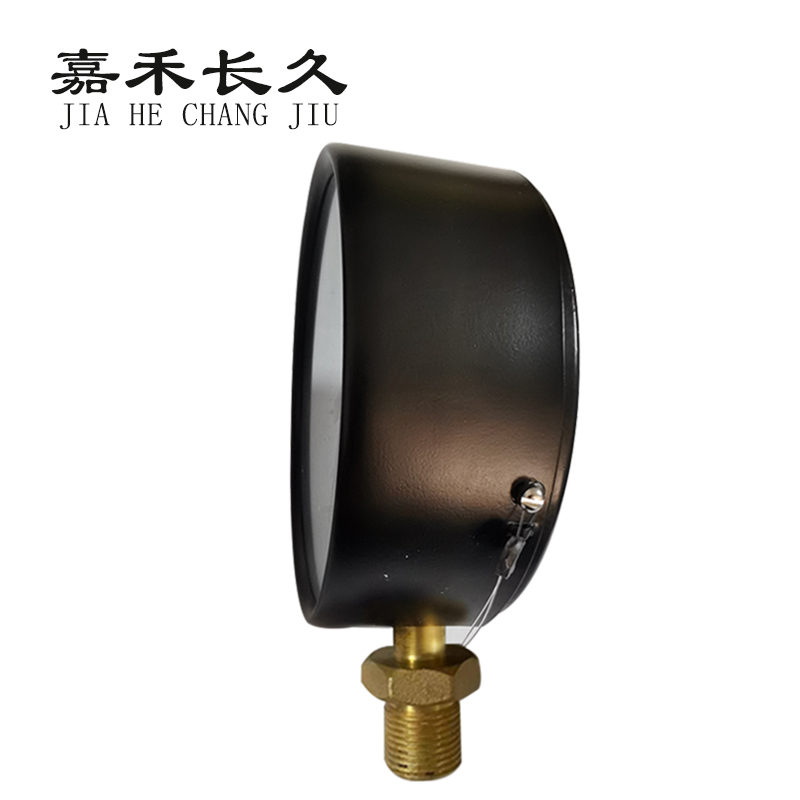 嘉禾长久/单针压力表定制检测型/Y100 0-1000Kpa/块高清大图