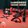谜姬SM用品组合套装另类性玩具皮鞭口球口塞手铐脚铐乳夹束缚捆绑调教惩罚刑道具10件套成人男女夫妻房事情趣辅助工具性用品