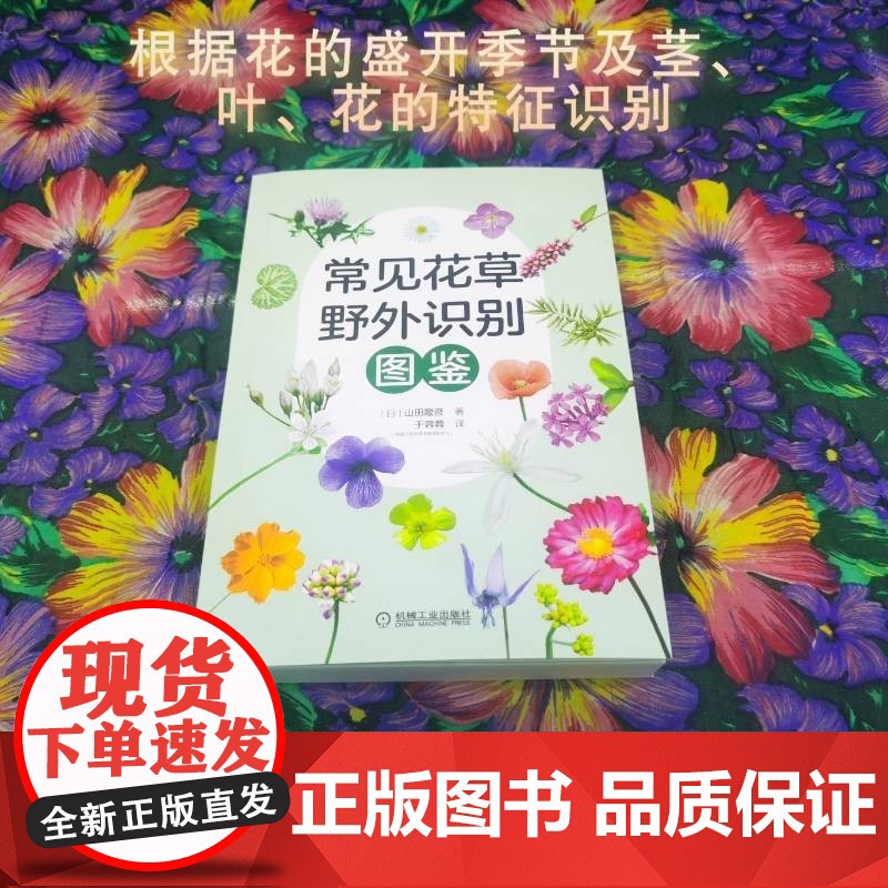 常见花草野外识别图鉴 山田隆彦 著 科普读物