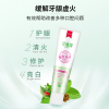 草珊瑚180克经典消焱配疗焱清牙膏
