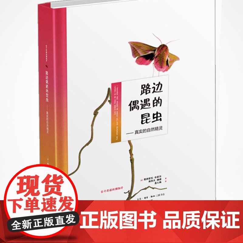 路边偶遇的昆虫 亲子共读的博物学 科普类读物 生活读书新知三联书店店高清大图